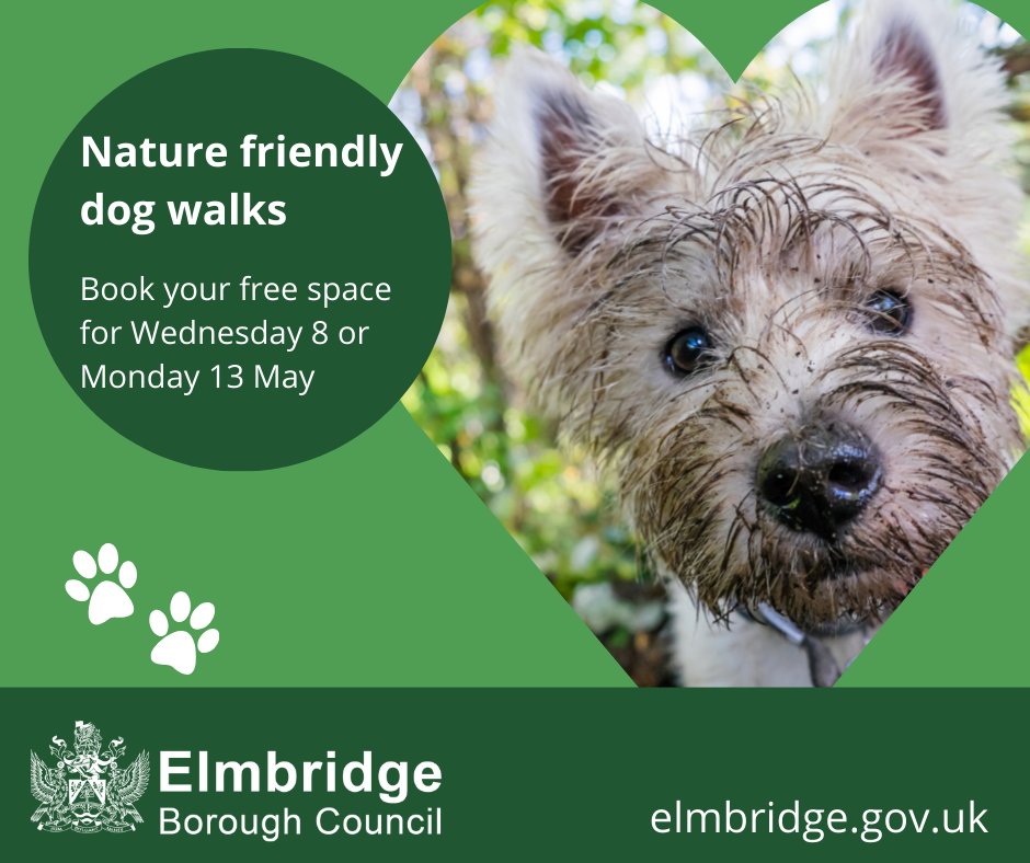 Join us for a nature-friendly dog walk on West Common #Esher or #Oxshott Heath… An opportunity for dog owners or walkers to learn about local wildlife and habitats and how you can help with biodiversity on #Elmbridge countryside sites. Booking essential. ow.ly/JJL150Rikgg