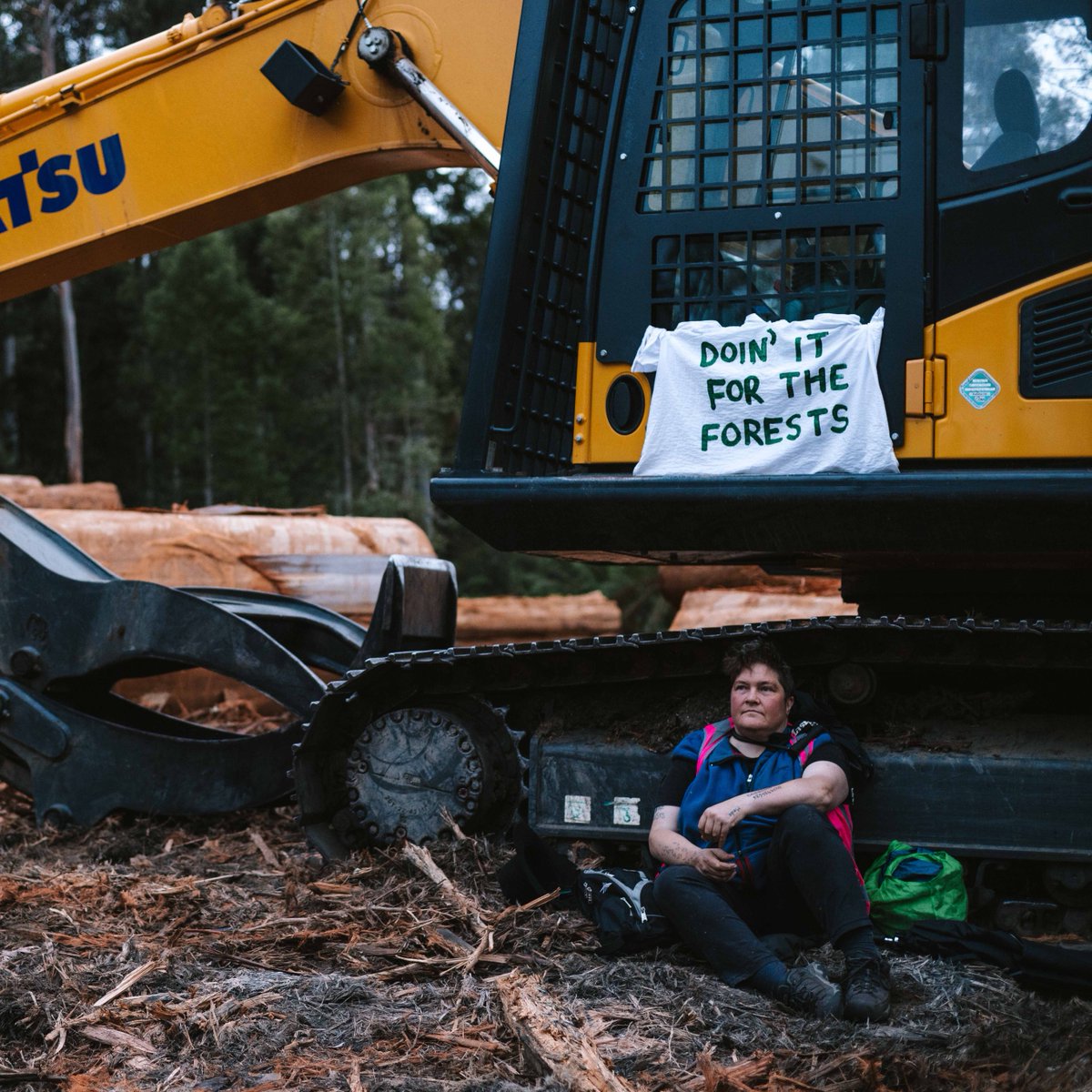 BobBrownFndn's tweet photo. "Our native forests must be protected. They are worth so much more standing" - Dr Colette Harmsen, who will tomorrow join Bob Brown & Ali Alishah in front of the court for her courageous stand to protect World Heritage Value forests in the Styx Valley #Fightforforests #politas https://t.co/kHL5iGzrN2