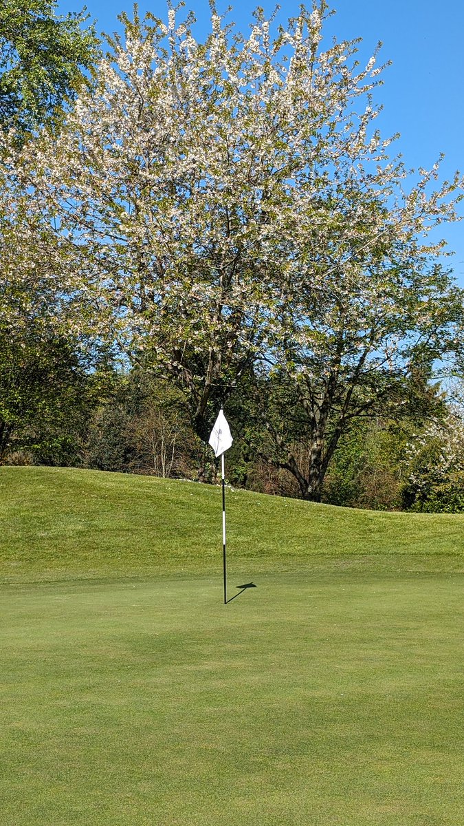 Ciaran007's tweet photo. Been waiting for months for days like this.... Greens are magnificent @PalmerstownHE https://t.co/DnrL2xjHmO