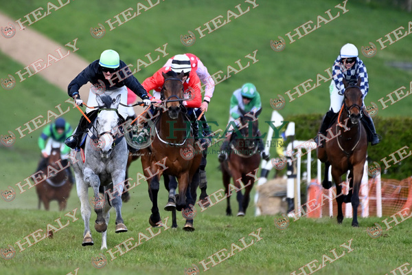 See all the action from LOUGHANMORE PTP in the Gallery at healyracing.ie