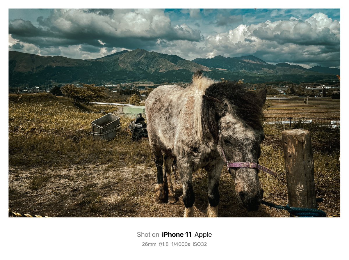 家族でお出かけだから今日はiPhoneのみ