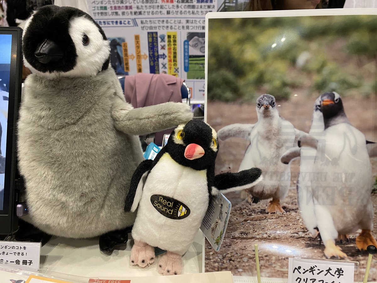 #ペンギン大学 初の
#ニコニコ超会議 出展を無事終えました！
2日間 #ペンギン なお話を
語り合えた皆さま
ありがとうございました🐧

引き続き #ペンギン動画投稿祭 に
投稿してくださった動画を
Xにて紹介させて頂きます。

#超ペンギン大学 
#世界ペンギンの日 
#ペンギン誕生祭2024