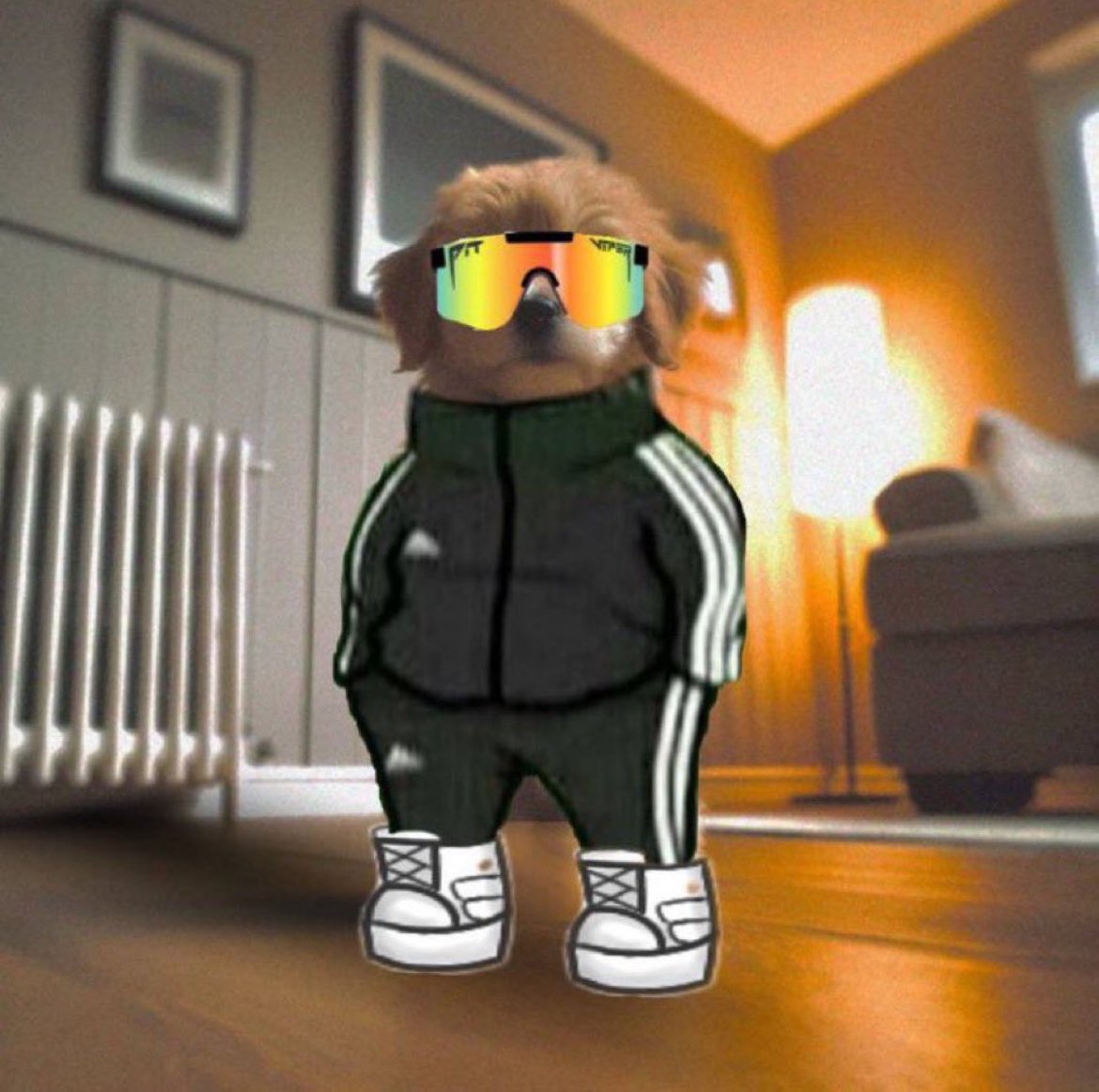 KryptoMundo's tweet image. The dog is a good $boy

With Michi moving right now the standing dog is a serious play 

Ape the good $boy