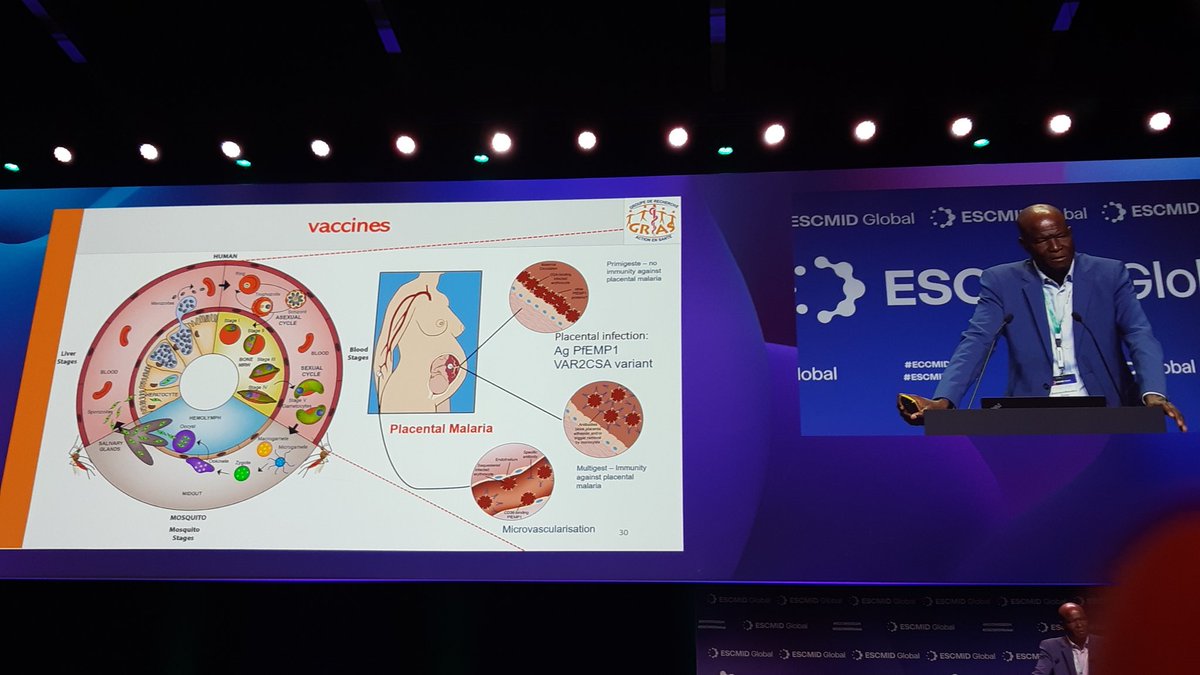 Vacunas para Malaria...ESCMID Global 2024