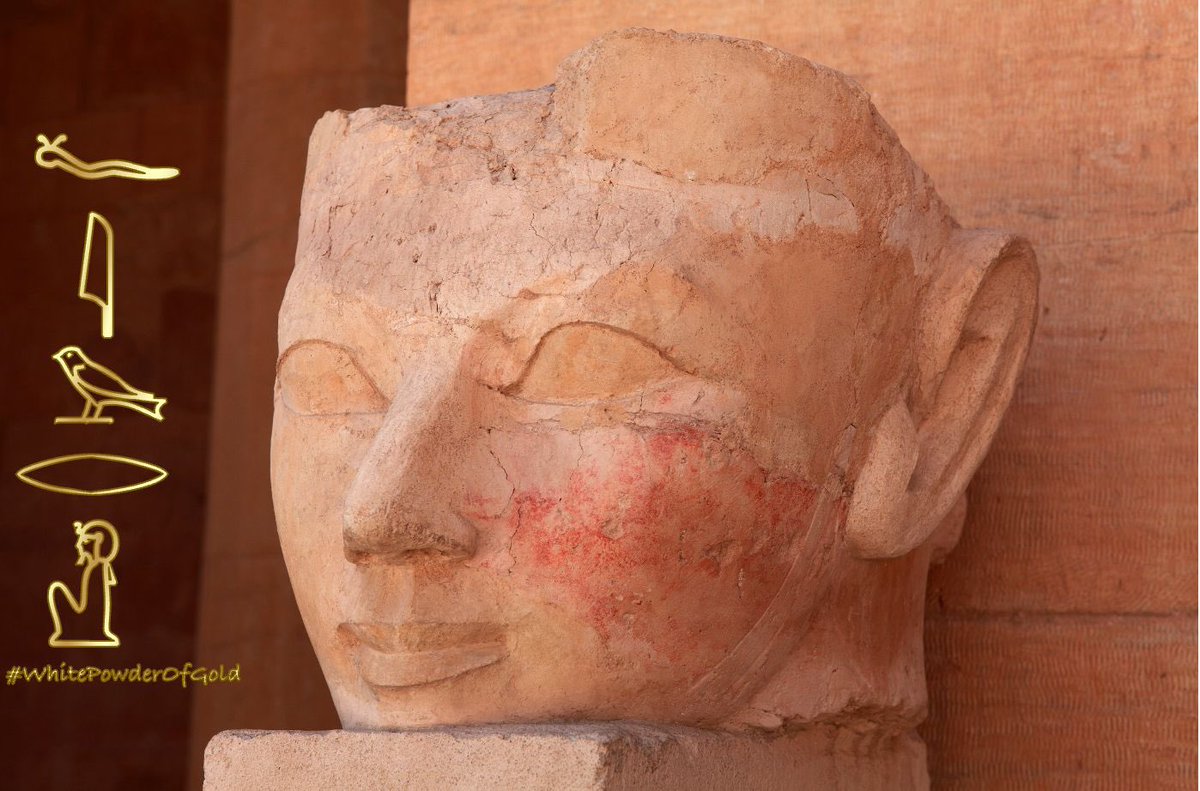 Fire (they/them) tweet media