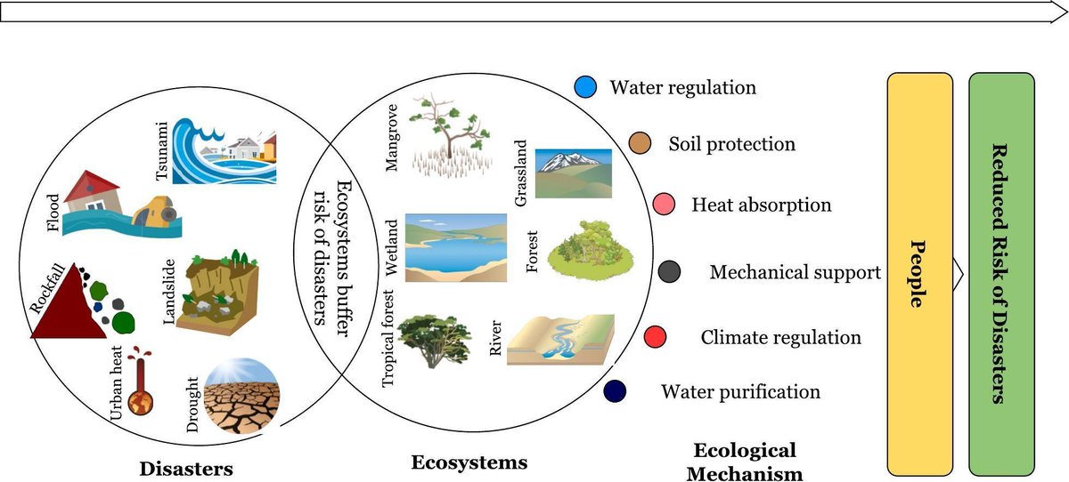pkpaudel's tweet photo. Happy to share the publication of our recent research article in Science of the Total Environment (IF=9.📷, a prestigious journal published by Elsevier!
https://t.co/vsoIseWKVY https://t.co/lsm3bPlD3m