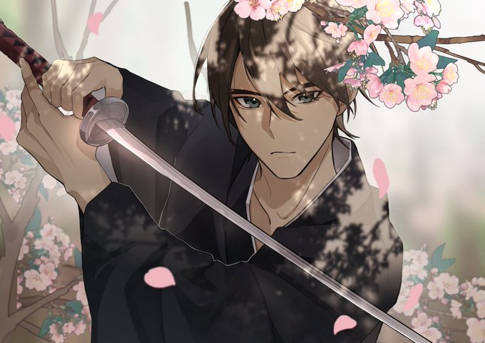 「cherry blossoms falling petals」 illustration images(Latest)