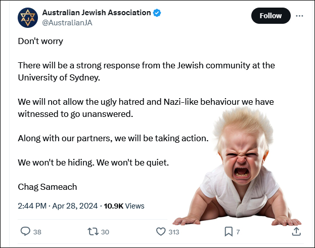 Imagine what would happen if pro-Palestinian supporters posted this inflammatory tripe? The 'NSW Twitter Response Group' would be knocking on their doors and demanding explanations A Zionist uses a bomb to make a threat and the police treat their victim as the criminal