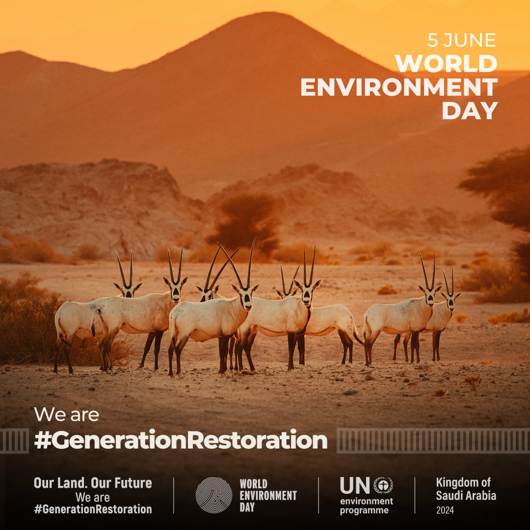 5 June is #WorldEnvironmentDay.

This year is all about accelerating action on land restoration, desertification, and drought resilience.

Join #GenerationRestoration – together, let's restore  &amp; safeguard our land &amp; soil.

worldenvironmentday.global