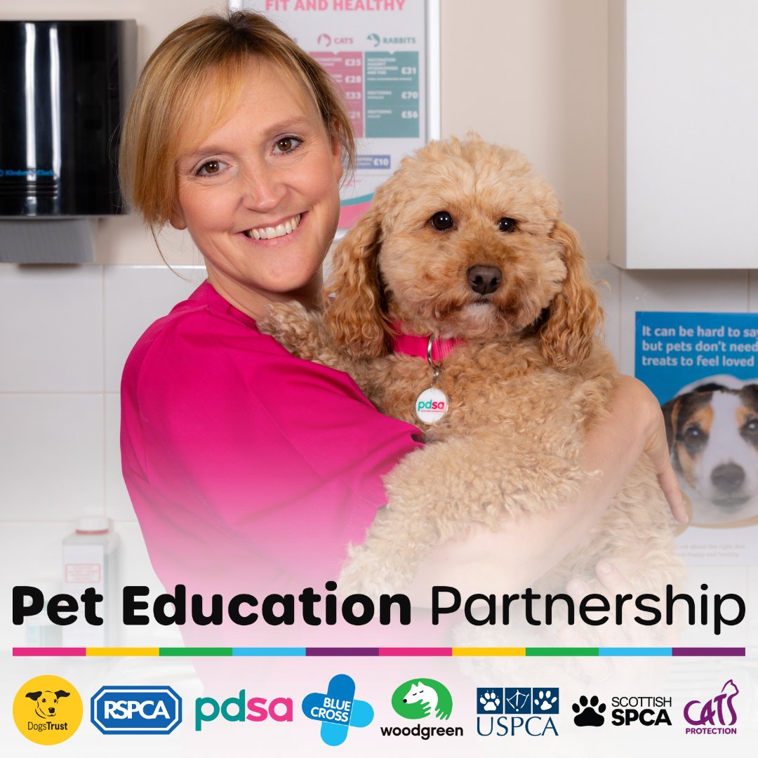 Calling all primary school teachers! Join the Pet Education Partnership in marking Mental Health Awareness Week and take part in our 'Wellbeing, Pets and Me' interactive workshop on 14 or 16 May 🐾 Register for free today: pdsa.me/yoQn #PetEducationPartnership