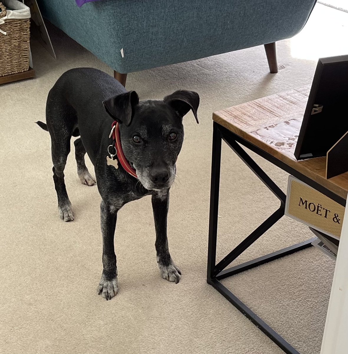 Alison East tweet media