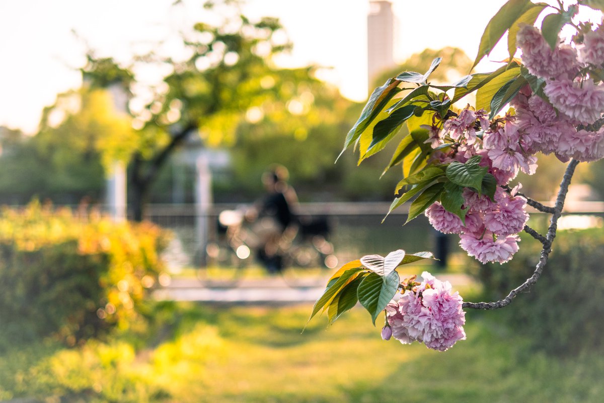 shushus24's tweet photo. Bicycle

#写真好きな人と繋がりたい #写真撮ってる人と繋がりたい #カメラ好きな人と繋がりたい #キリトリセカイ #ファインダー越しの私の世界 #Panasonic #LUMIX #G100D https://t.co/pY5ICOLj4o