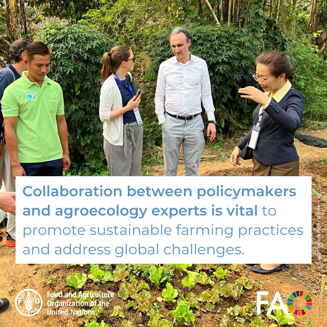 Partnership is power! Discover how agroecology is advancing as @FAO collaborates with parliamentarian networks to pave the way for sustainable agrifood systems and shaping policies for a better future. Read more ➡️ bit.ly/44hwKKW #PlantProduction