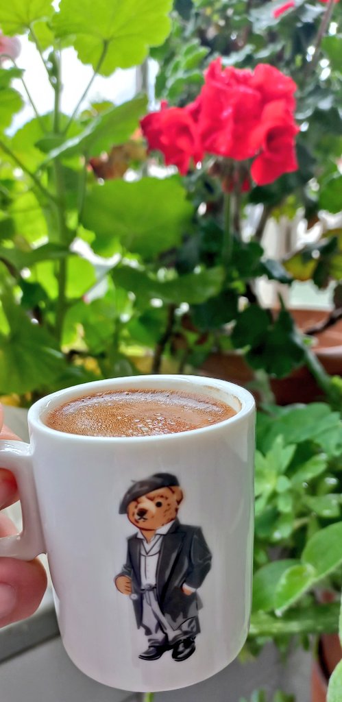 Antibiyotik içtiği için rakıya çıkamayan kişi itemı😁

#CoffeeCulture 
#coffeelover