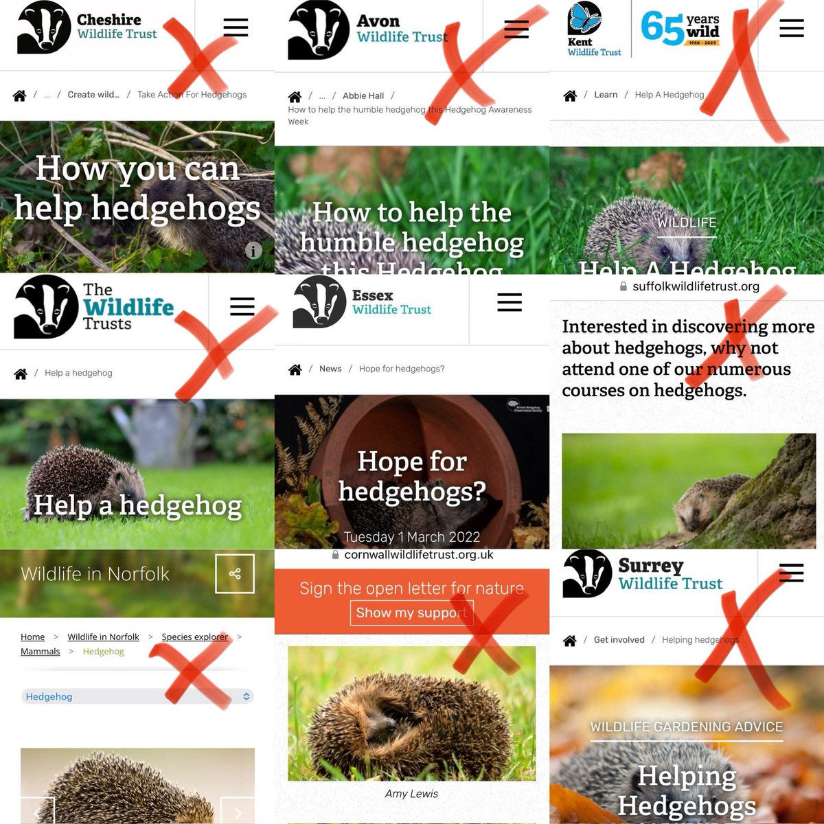 I googled @wildlifetrusts & #hedgehog after seeing @HedgehogCabin post about hogs “OUT IN THE DAY, NOT OK.” Only @EssexWildlife showed a nighttime pic. The irony! @CheshireWT @avonwt @KentWildlife @suffolkwildlife @NorfolkWT @CwallWildlife @SurreyWT Please take these pix down! 🤦‍♀️