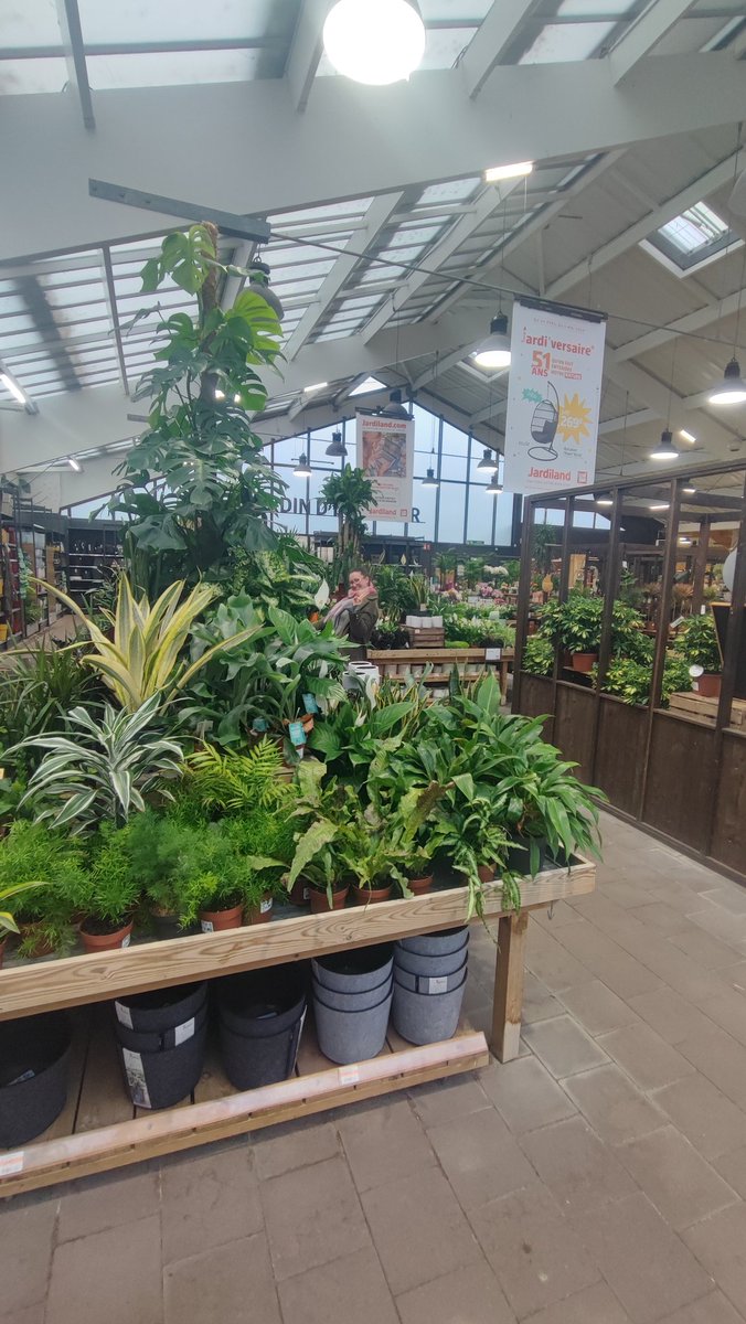 Le genre de magasin où je peux dépenser des dingueries 🌱☘️🌵🌾🌿💐🪴 j'aime tellement <a href="/Jardiland/">Jardiland</a>