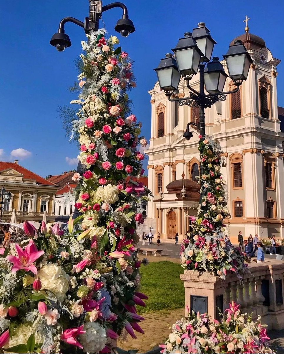 Timișoara, Romania

🇷🇴