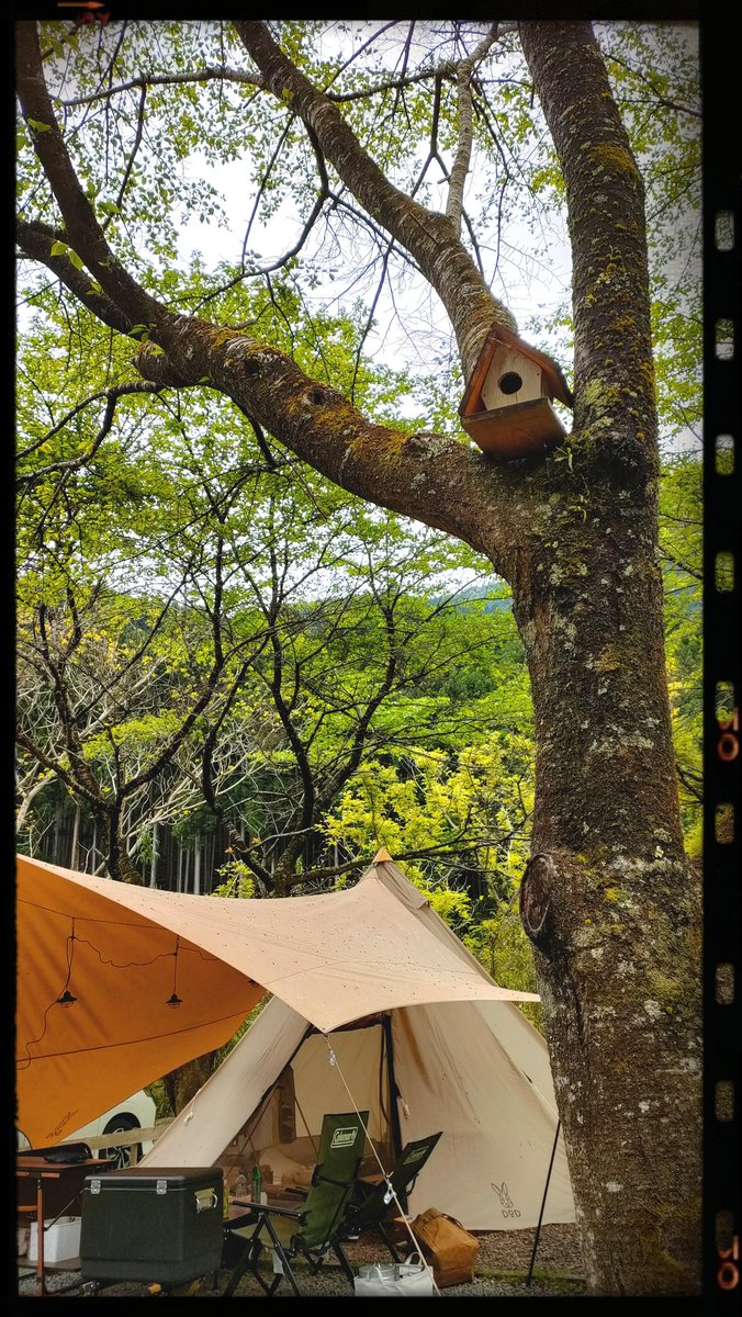 itikei810's tweet photo. 鳥の巣箱があるって素敵🐦 https://t.co/5C9lyQaO45