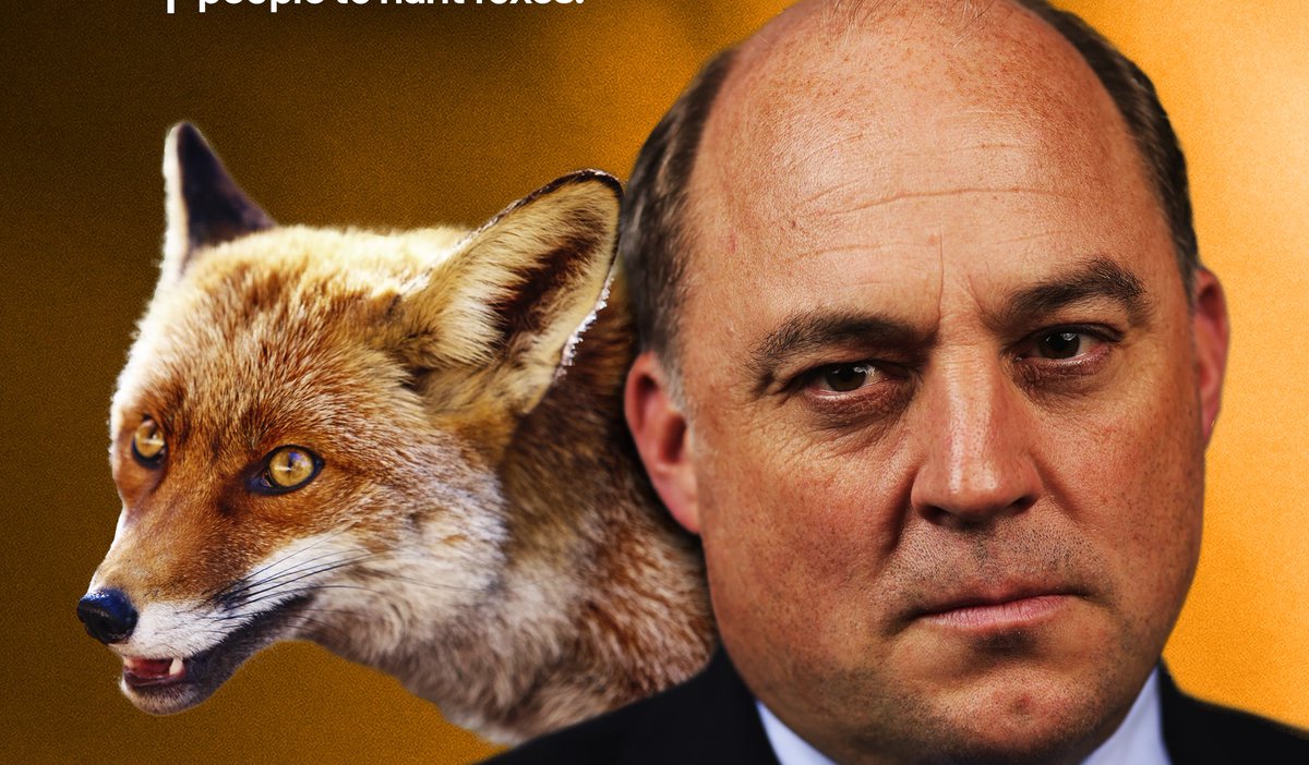 Protect the Wild tweet media