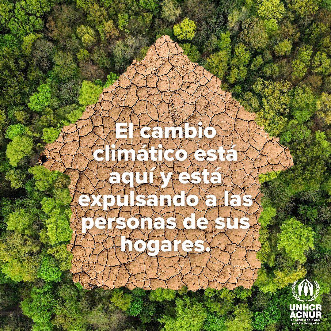 ⚠️La crisis climática ya es una realidad.

Y está expulsando a las personas de sus hogares y haciendo mucho más difícil la vida de las ya se habían visto forzadas a huir.