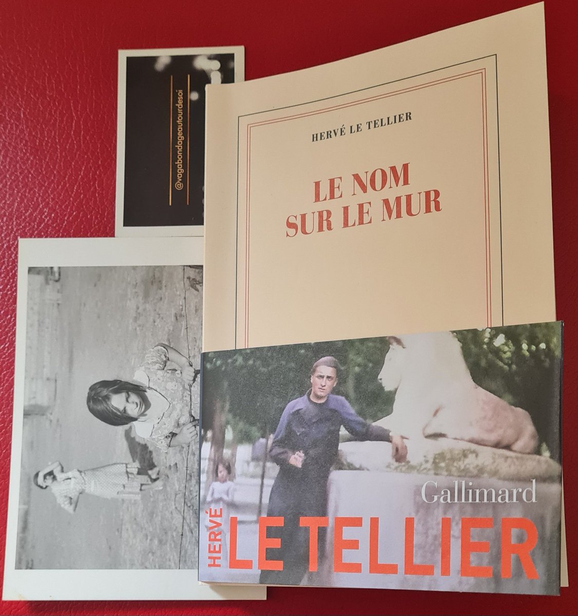 @Gallimard 'Parce que la démocratie est une conversation entre gens civilisés, la tolérance prend fin avec l'intolérable. Quiconque sème la haine de l'autre ne mérite pas l'hospitalité d'une discussion.' @HerveLeTellier 🙏 Bientôt #avis sur vagabondageautourdesoi.com