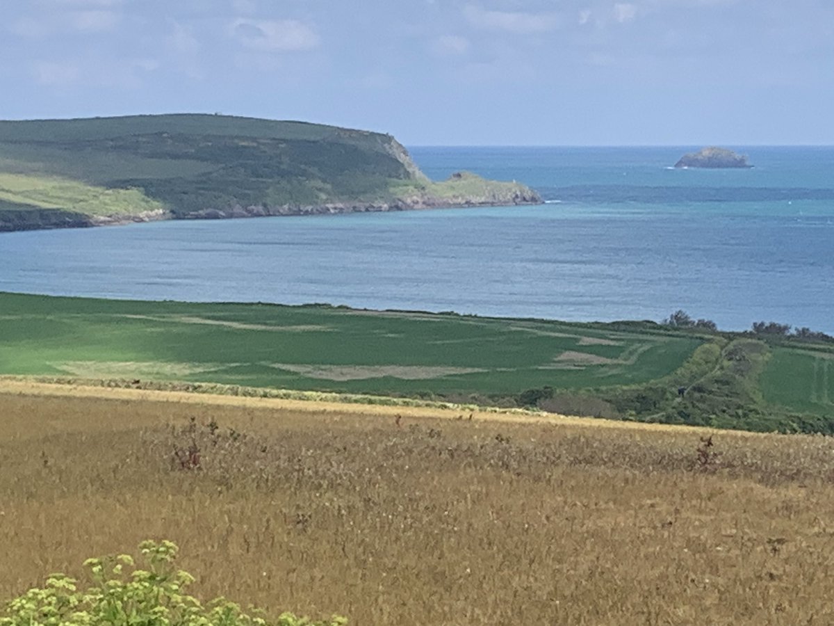 Wayne Sellwood tweet media