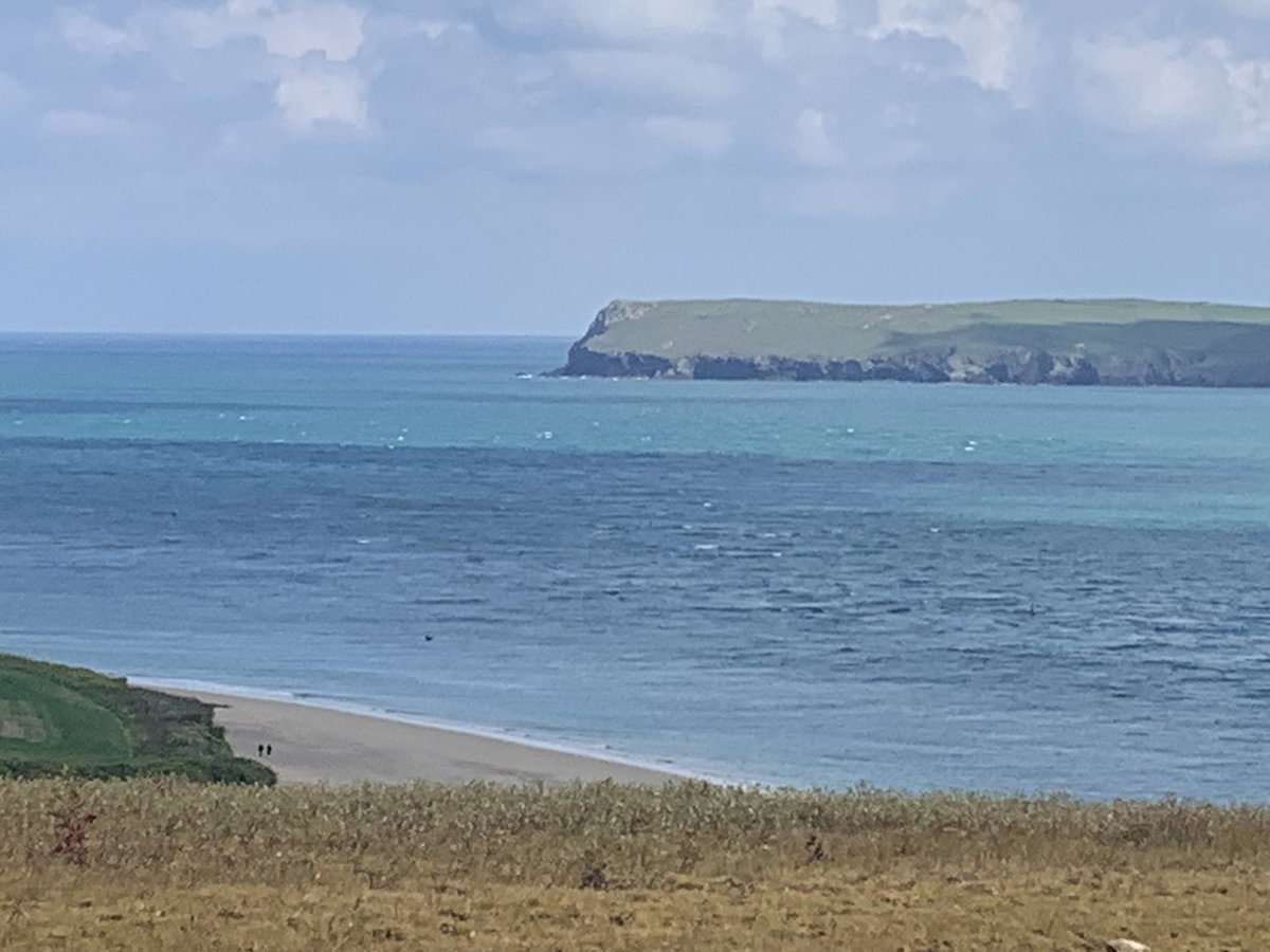 Wayne Sellwood tweet media