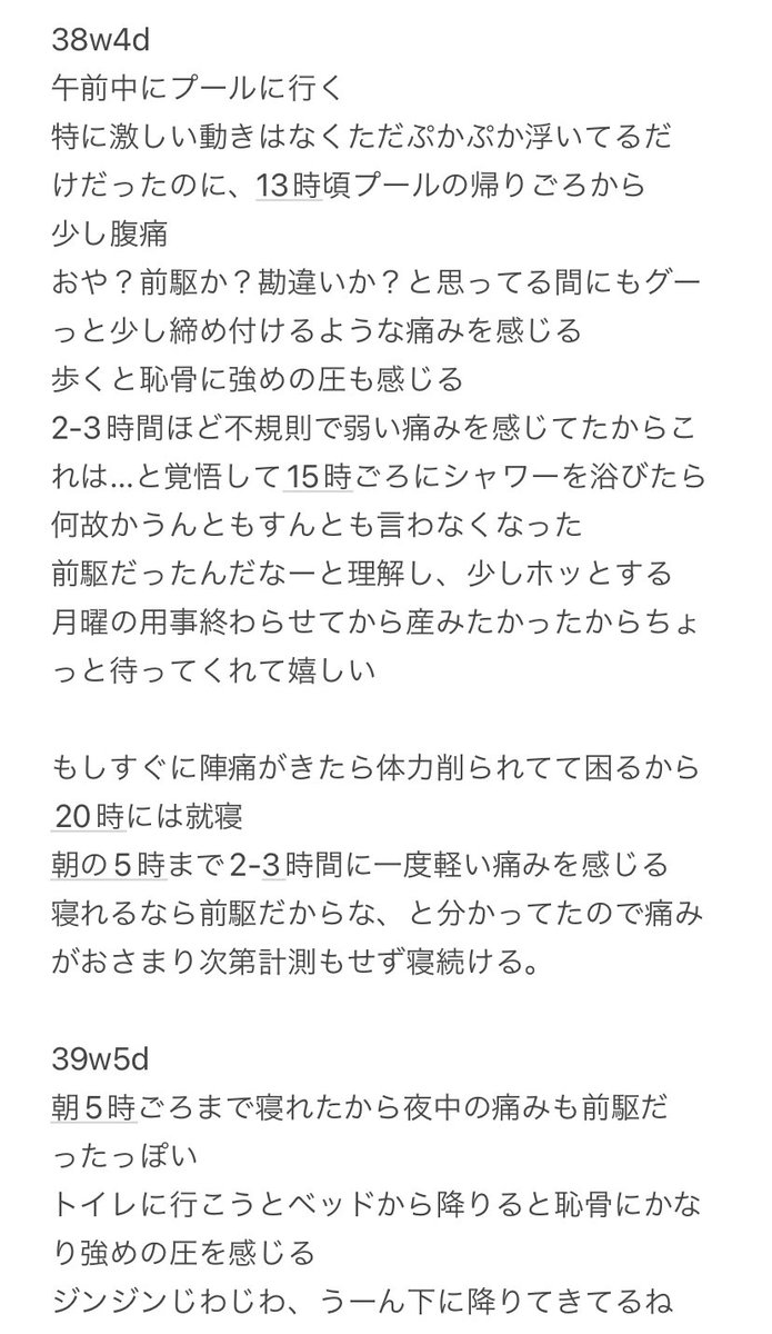 よーてりー🇩🇪 tweet media