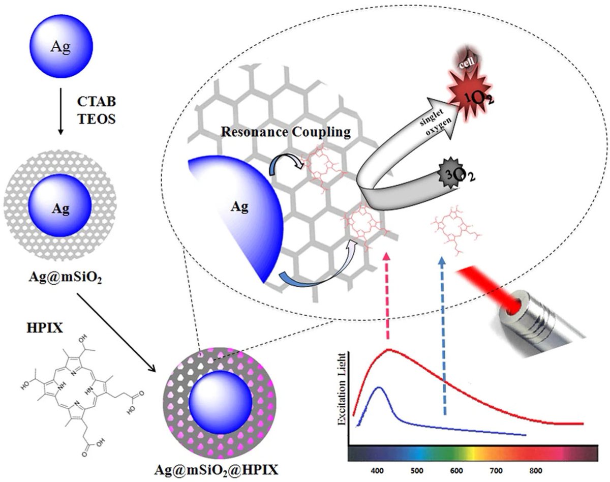 🌈 🌈'Photosensitizers-Loaded Nanocarriers for Enhancement of Photodynamic Therapy in Melanoma Treatment' by Ana Maria Udrea et al is our #HighlyCitedPaper and we highly recommend reading it.

You can find it at: shorturl.at/fgin5