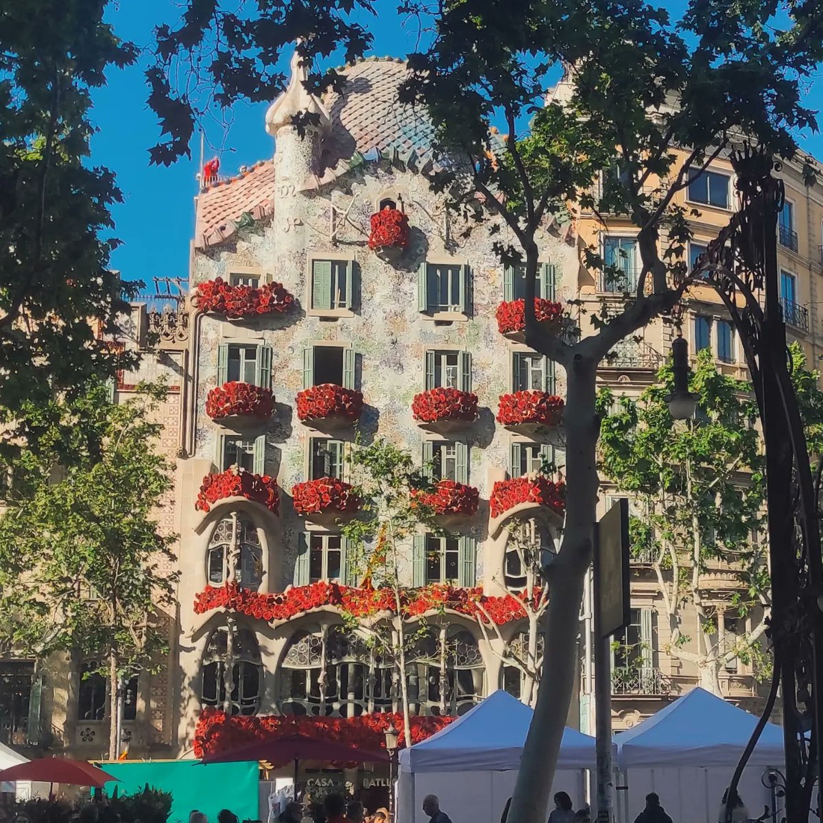 egimons's tweet photo. BARÇA 🇪🇸🌴☀️🍹😎
#Barcelona #spain #urban #city #vibes https://t.co/88C5vUvnvZ