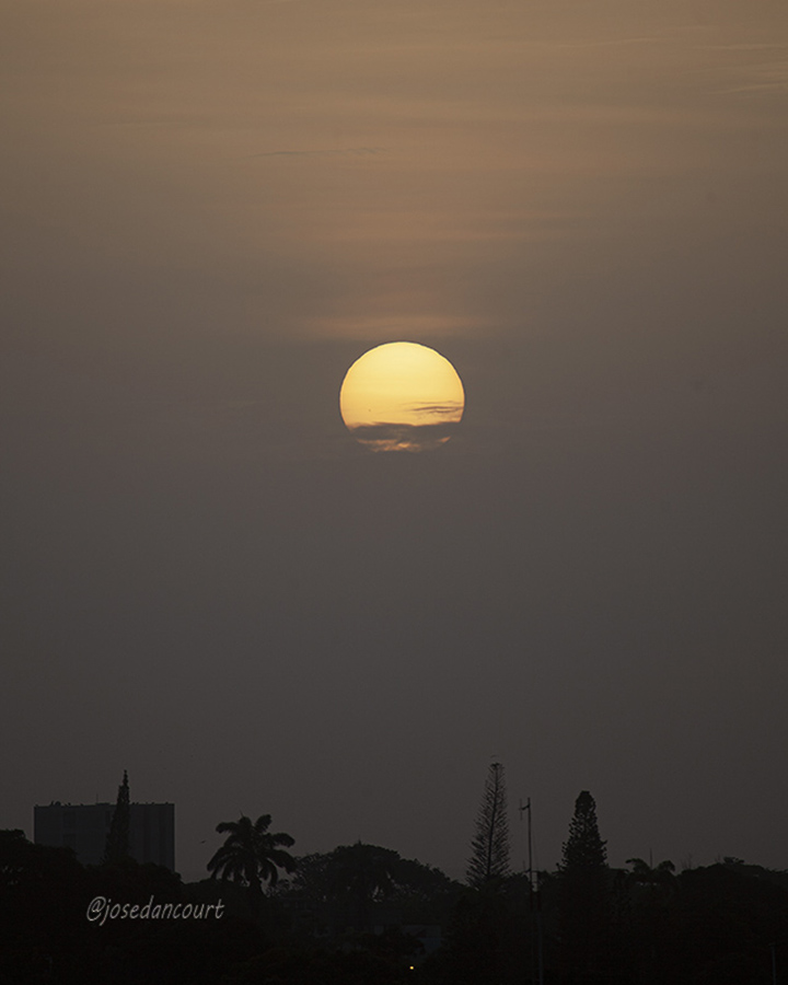 josedancourt's tweet photo. El sol del atardecer llega al manto de nubes del horizonte.
Foto archivo
#Sunset #Sun #Color #Cumana #relax  

#CursoFotografiaTwitter
Gratuito
Autoestudio
Acceso en post fijado en mi perfil de X https://t.co/JjILT6zTOz
