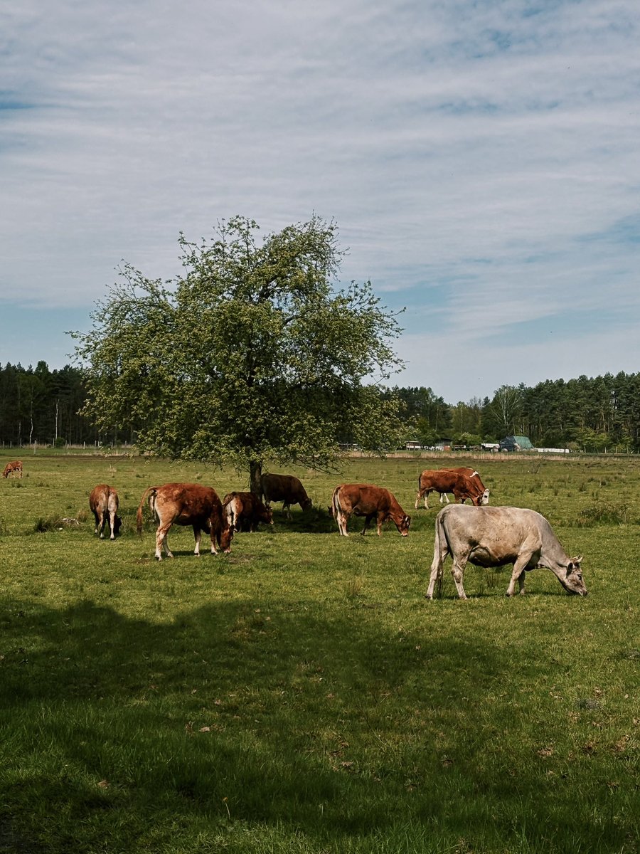 Z bieganiem nie polubię się nigdy, ale na szczęście są inne sposoby na doprowadzenie kondycji do porządku. 🚴🏼
