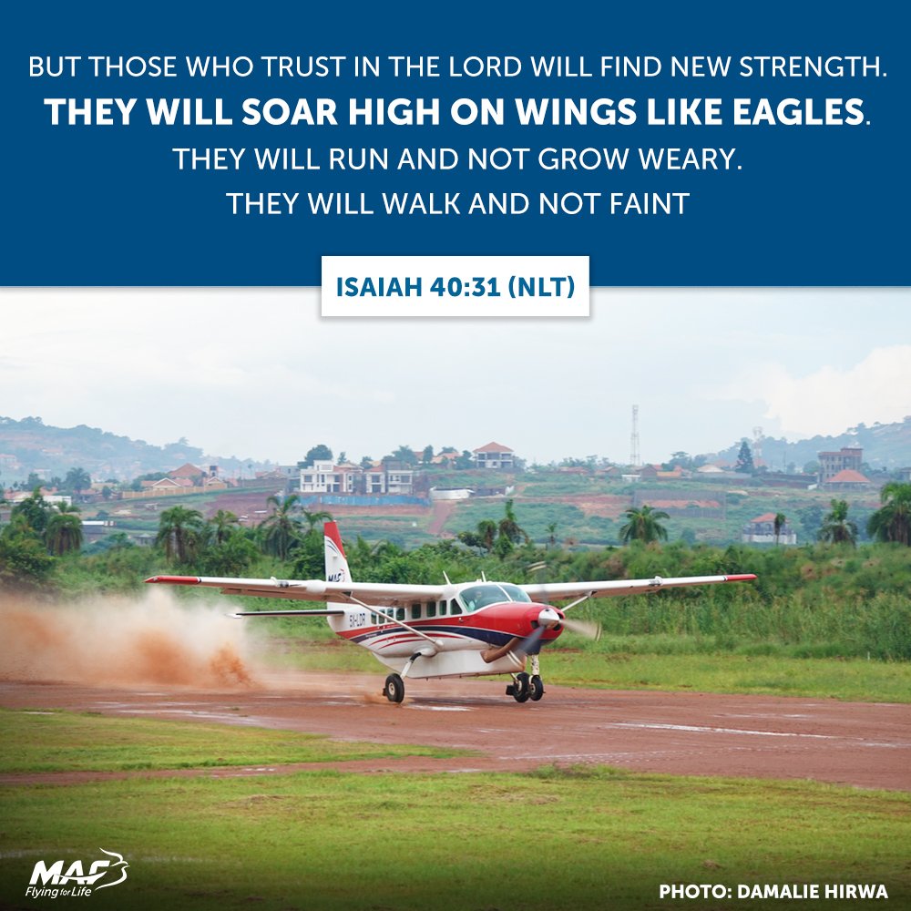 But those who trust in the Lord will find new strength. They will soar high on wings like eagles. They will run and not grow weary. They will walk and not faint. Isaiah 40:31 (NLT) #ScriptureSunday