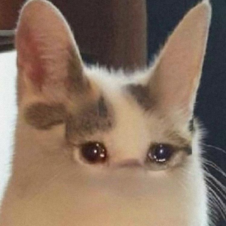 1610 찍기 너무 힘들다 3만골에 2부위면... 싸지 뭐... (눈물을 훔치며•••