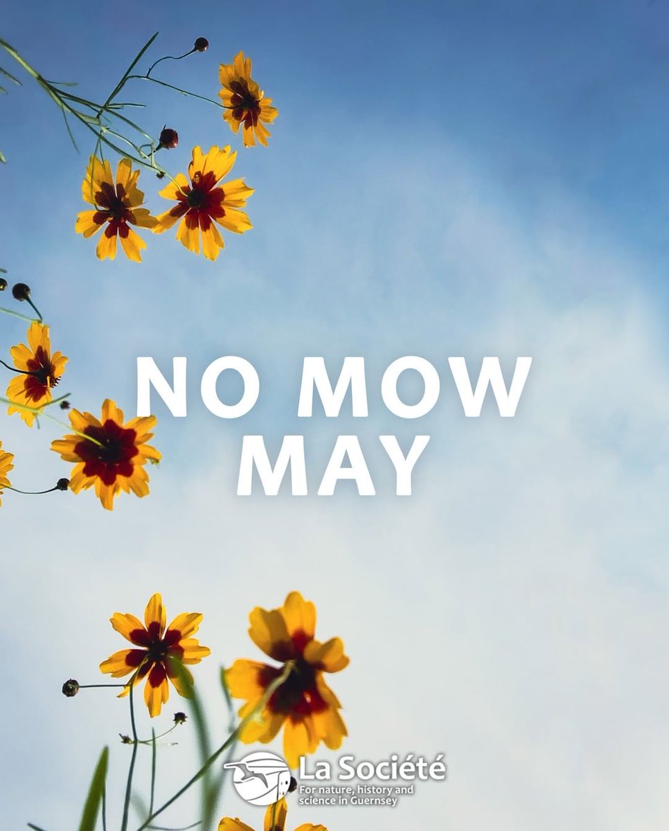 We all know the drill… No Mow May incoming 🌻🌸🌼 No Mow May doesn’t ask for much, lock away your lawnmower and let wildflowers across your garden grow free 🌞 Throughout May we would love to see your wild gardens - DM us and we will share 💚