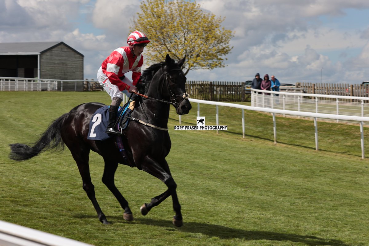 Fourth at Beverley on Thursday in the 5f handicap, LAKOTA BLUE (Sioux Nation x Thiel) Trained by @RacingNigel, owned by D W Davenport and ridden by @rowan_49 A three time winner in his career so far and runner up at last year's Glorious Goodwood festival.