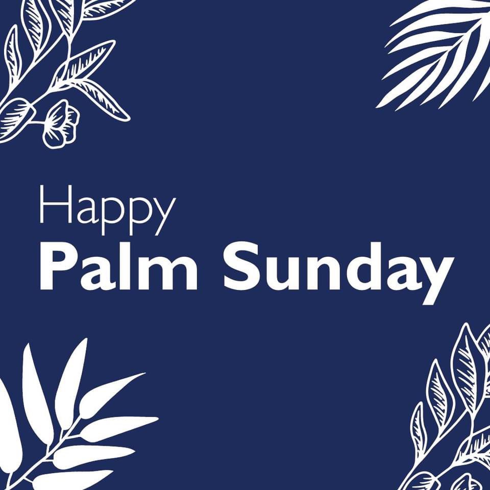 Happy Palm Sunday from ACOR to all! May your homes be filled with love and joy. #PalmSunday