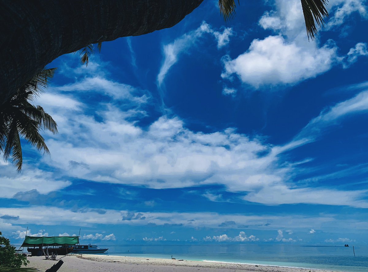 'The morning breeze brings new hope, new possibilities. Embrace the freshness of a new day.' 💗
.
.
#tropical #island #relax #calm #weather #beach #beautiful #budgettravel #luxury #luxurylifestyle #honeymoon #family #visitfodhdhoo #vacation #sunnysideoflife #visitmaldives 🌴