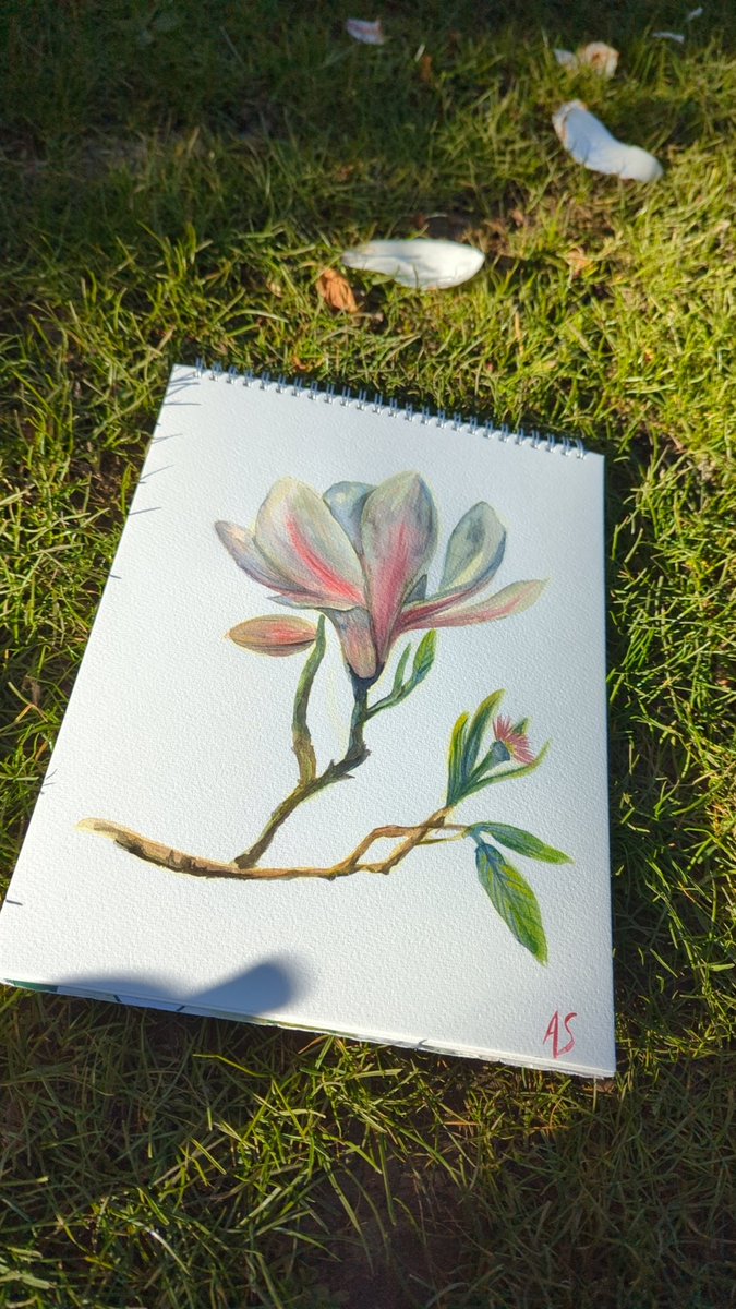 Watercolour painting in princes street gardens to avoid exam prep burnout