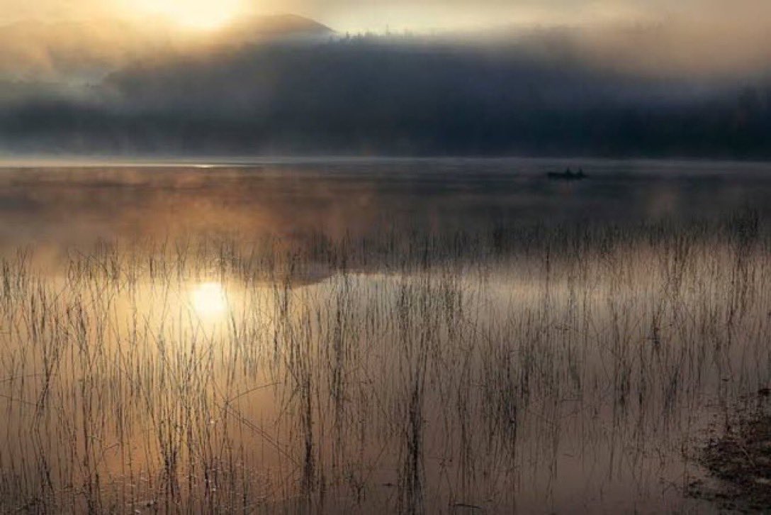 waiting, not waiting i almost believe it doesn’t matter~ 📷 Magda Bognar