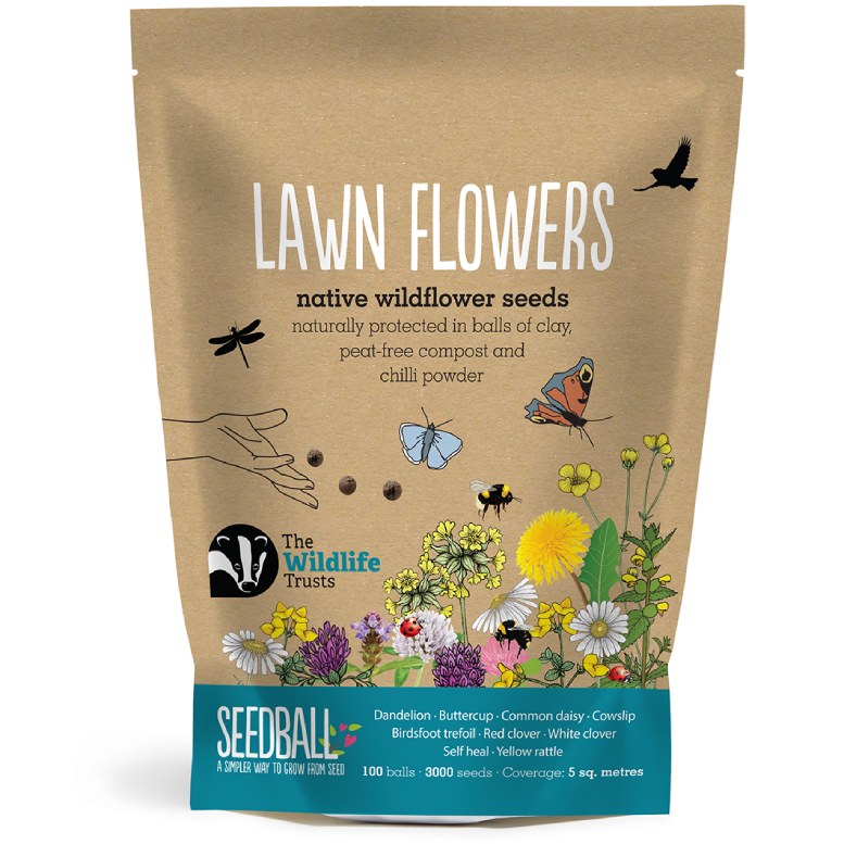 New for Spring 2024! 🐝 Created in collaboration with The Wildlife Trusts to encourage everyone to add pollinator friendly plants into their lawns! Seedball donates £1 to The Wildlife Trusts for every bag sold. seedball.co.uk/product/lawn-f… #InternationalDayOfTheDandelion