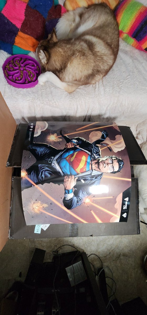 Capt_FluffyBubbles tweet media