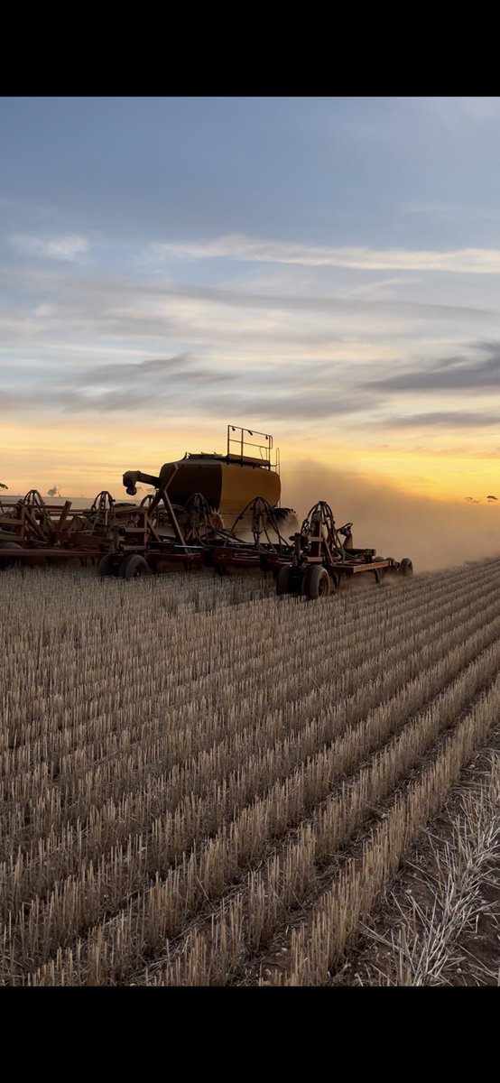 20 percent into #plant24 and hell it’s dry. Moisture probe hasn’t had a hit since December. Driest summer/autumn I have seen in my short farming career. Here’s to a wet winter!