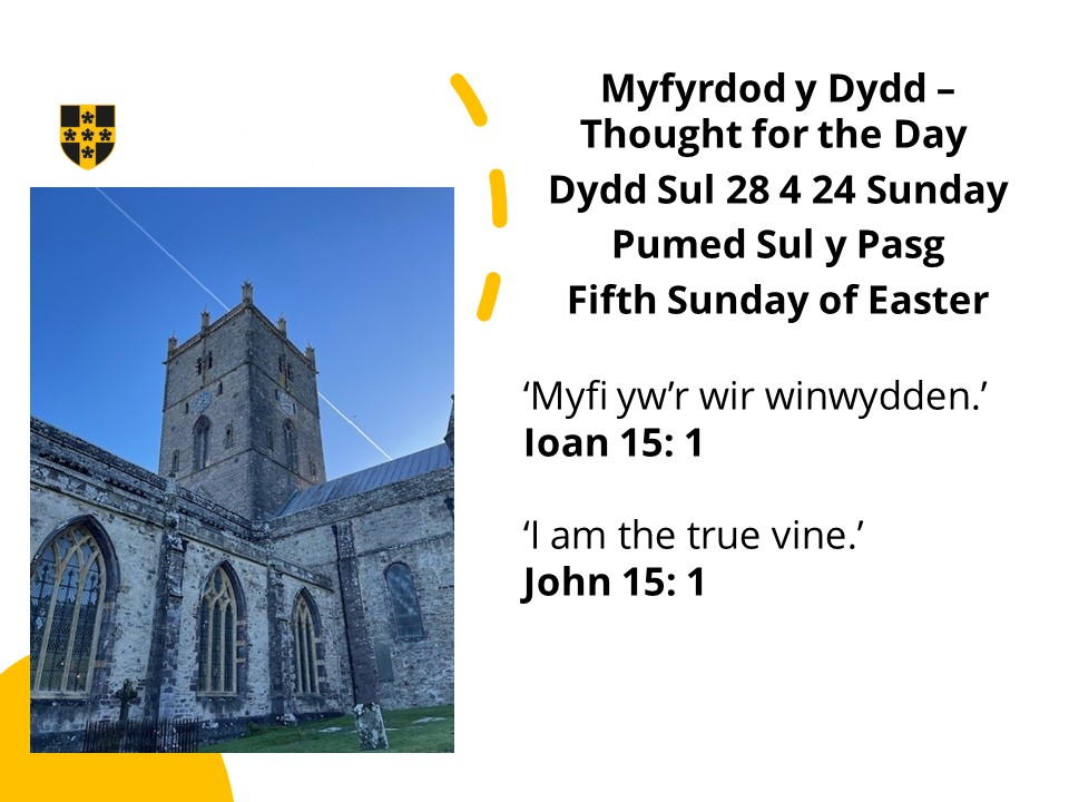 Myfyrdod y Pumud Sul y Pasg / Thought for 5th Sunday of Easter🙏👇 Ioan/John 15 Y wir winwydden. The true vine. @ChurchinWales @CytunNew