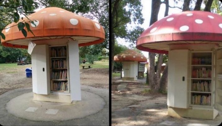 Japanese mushroom libraries at Kyoto botanical gardens 
🍄 🇯🇵