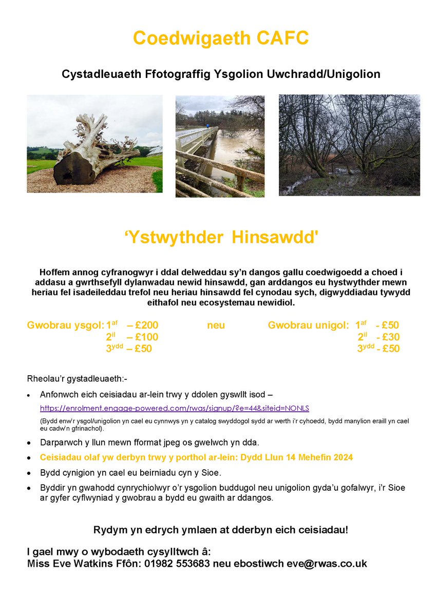 MWMAC Ltd tweet media