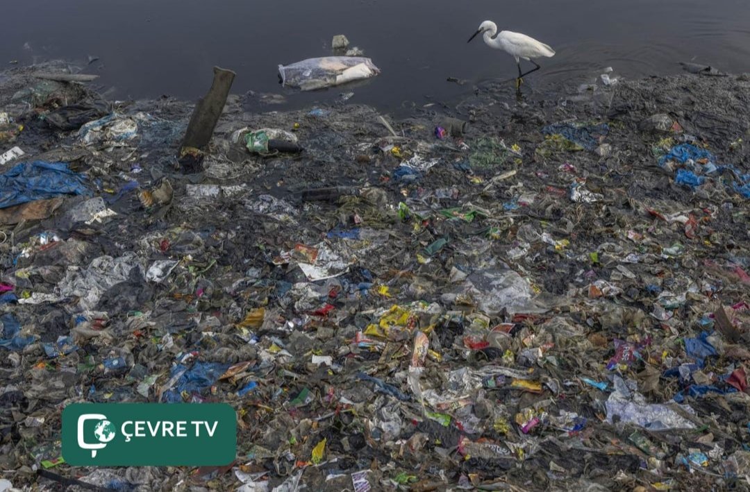 📌 Plastik üretiminin, kirlilikle eşit oranda arttığı ortaya çıktı 📣 Araştırmacılar sorumlu şirketleri açıkladı. Plastik üretimindeki yüzde 1 artışın, plastik kirliliğindeki yüzde 1'lik artışla doğrudan bağlantılı olduğu ortaya kondu. linkedin.com/posts/cevre-tv… #ÇevreTV