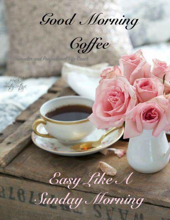 Good Sunday morning y'all. It's another gorgeous day along the Gulf Coast🌞😎 Hope you have a beautiful and blessed day☕️☕️😊✝️🌹🦋⚓️🇺🇸