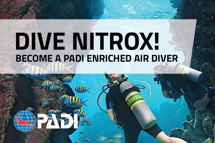 NarcosisScubaCe's tweet image. #Takeaclass @NarcosisScubaCe #padi #learnnitrox #booknow Narcosisscuba.com
