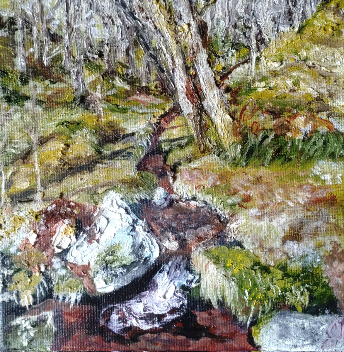 Another little one to fill in the gaps! 'Wee Burn, Ariundle'. I may not always be able to walk in the woods but painting them is my therapy!

#art #supportingartists #painting #oilpainting #artistslife #scottishlife #scotland #ariundle #WOMENSART #WOMENSART1